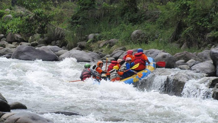 Mulai Rafting hingga Camping, Intip 5 Wisata Alam Seru di Kabupaten Langkat Sumatera Utara, yuk!