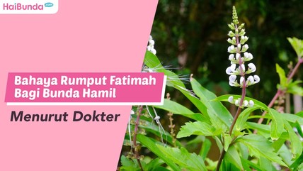 Detik Network
