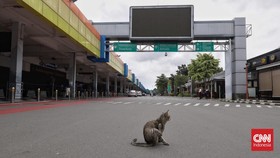 FOTO: Suasana Lengang Bandara Halim usai Ditutup Sementara