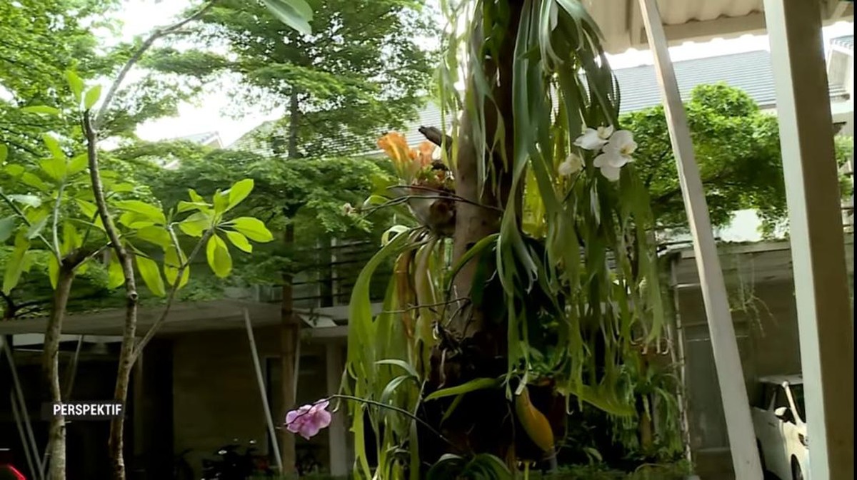 Berkat kerja kerasnya&comma; Reza Rahadian kini menjadi aktor sukses dan memiliki hunian mewah nan asri&period; Yuk intip potretnya&excl;