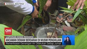 VIDEO: Ancaman Demam Berdarah di Musim Penghujan