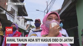 VIDEO: Awal Tahun Ada 977 Kasus DBD di Jatim