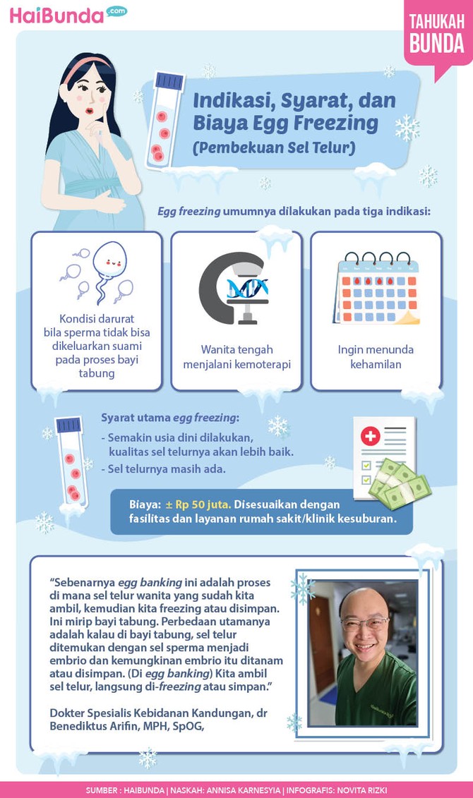 Egg Freezing Infographics