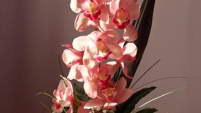 Dari Anggrek hingga Krisan, Ini Makna Penting di Balik 5 Bunga Khas Imlek