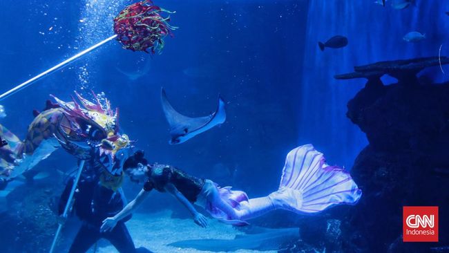 Merayakan Hari Valentine di Jakarta juga bisa berkesan, karena kota metropolitan ini ternyata punya banyak spot romantis yang cocok dikunjungi bersama pasangan