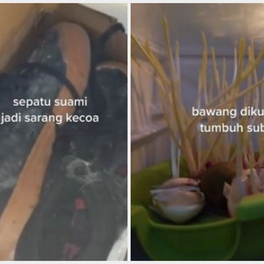 Rumah Ditinggal 2 Bulan Lahiran, Penampakan Kulkas & Sepatu Bikin Syok