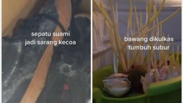 img-title Rumah Ditinggal 2 Bulan Lahiran, Penampakan Kulkas & Sepatu Bikin Syok