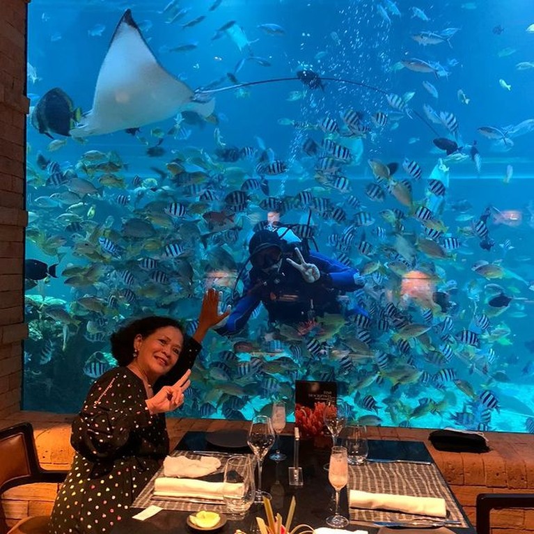Reza Rahadian merayakan ulang tahun ibundanya makan malam romantis di akurium bak sepasang kekasih. Yuk intip potretnya!