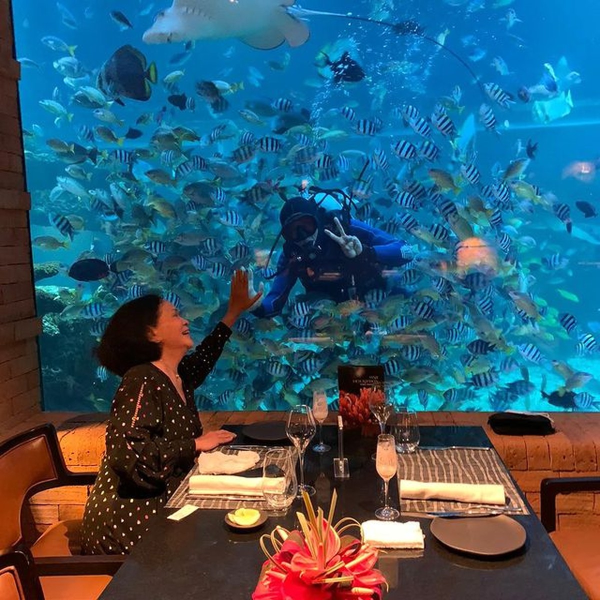 Reza Rahadian merayakan ulang tahun ibundanya makan malam romantis di akurium bak sepasang kekasih&period; Yuk intip potretnya&excl;