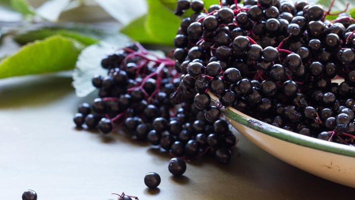 Berry