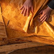 4 Fakta Bahan Reishi, Material dari Jamur Pengganti Kulit