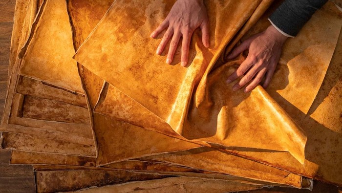 4 Fakta Bahan Reishi, Material dari Jamur Pengganti Kulit