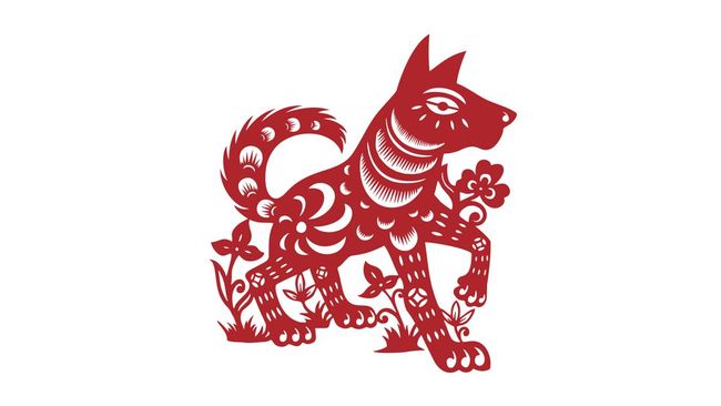 Berdasarkan astrologi China, tahun ini memasuki tahun Macan Air. Berikut ramalan Shio Anjing pada tahun Macan Air 2022.