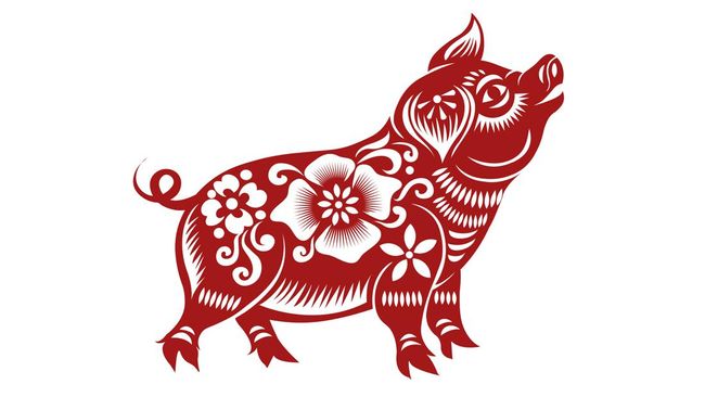 Berdasarkan astrologi China, tahun ini memasuki tahun Macan Air. Berikut ramalan Shio Babi pada tahun Macan Air 2022.