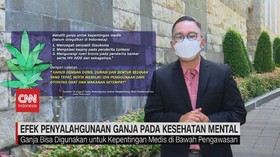 VIDEO: Efek Penyalahgunaan Ganja Pada Kesehatan Mental
