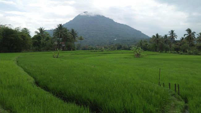 Sempat Hilang Kontak di Gunung Haruman, Warga Garut Ditemukan Selamat - CNN Indonesia