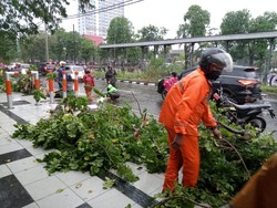 Hujan Deras dan Angin Kencang Tumbangkan 3 Pohon di Surabaya