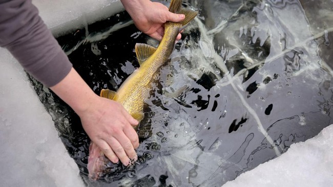 FOTO: Serunya Kontes Memancing Terbesar di Dunia