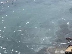 Misteri Pembuang Limbah Tes Antigen di Selat Bali