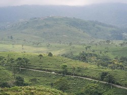 Libur Imlek 2022, 5 Wisata Alam di Karanganyar Ini Cocok Buat Ngadem!