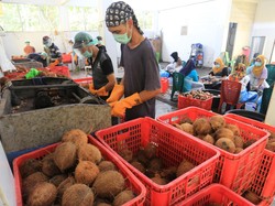 Pendapatan Nasional: Pengertian dan Sejumlah Faktor yang Mempengaruhi
