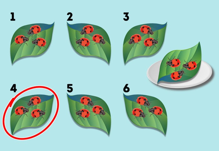 Jawabannya nomor 4. Nggak percaya? Coba saja kamu balik gambar ini. (Foto: brightside.me)