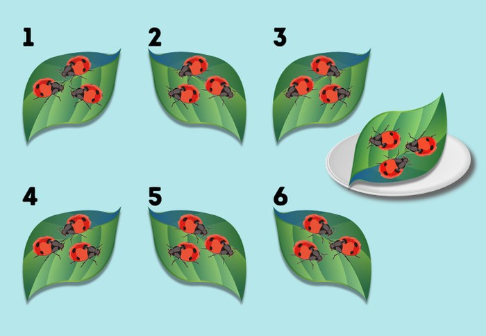 Gambar mana yang paling identik sama dengan contoh di piring? (Foto: brightside.me)