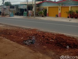 Sebulan Dibiarkan, Batang Pohon Sisa Penebangan di Depok Akhirnya Diangkut