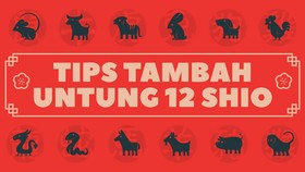 INFOGRAFIS: Tips Tambah Hoki 12 Shio di Tahun Macan Air