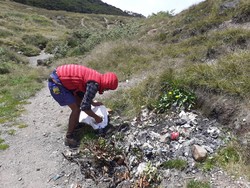 Satu Ton Sampah Diangkut dari Gunung Gede Pangrango