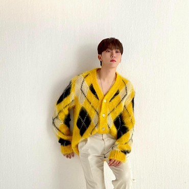 Alasan Kesehatan, Seungkwan SEVENTEEN Hiatus