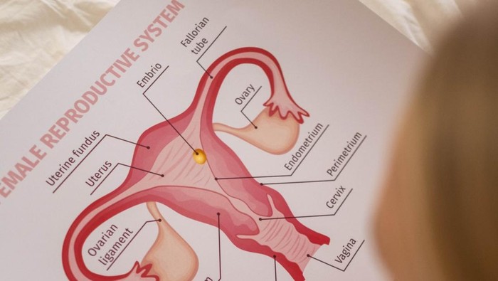 tipe penyakit kanker yang paling banyak terjadi di Indonesia