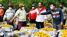 Jokowi Disambut Meriah Warga Kampung Jeruk Sumut karena Perbaiki Jalan