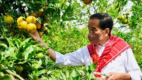 Tepis Isu Perpanjangan, Jokowi Akan Tunjuk ASN Jadi Pj Kepala Daerah
