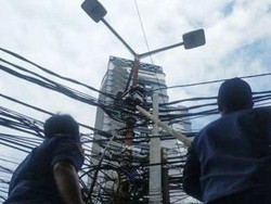 Damkar Jakpus Evakuasi Sanca 2 Meter Melilit di Ujung Tiang Listrik
