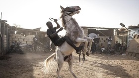 FOTO: Hiruk-pikuk Koboi di Burkina Faso