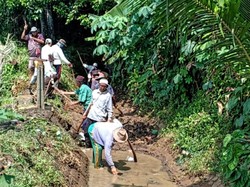 Puluhan Tahun Saluran Irigasi di Sukabumi Rusak, 30 Hektar Lahan Sawah Hilang