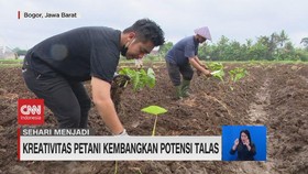 VIDEO: Sehari Menjadi Petani Talas Bogor