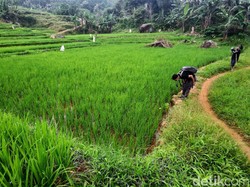Lepas Penat di Akhir Pekan, Trekking Seru dengan Panorama Memukau