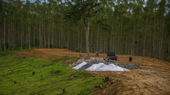 Jokowi menyatakan pemerintah hanya menggunakan 50 ribu hektare lahan di IKN dari total luas 265 ribu ha.