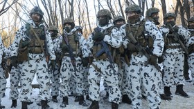 Ukraina Kirim Tentara Usia 71 Tahun Ikuti Latihan Militer NATO