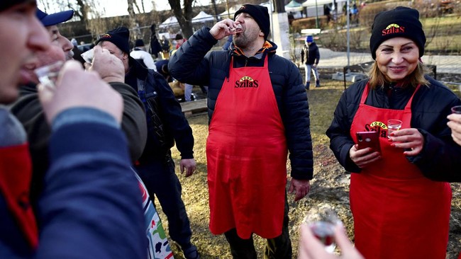 FOTO: Tradisi Menyembelih Babi di Hungaria