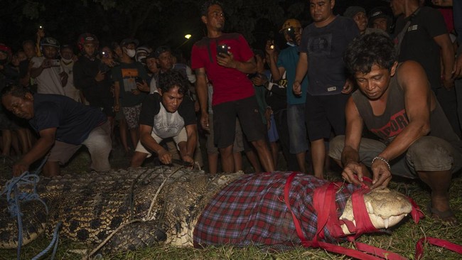 Sejumlah media asing, mulai dari AS hingga Australia, menyoroti warga Indonesia yang berhasil membebaskan buaya dari jeratan ban motor di lehernya.