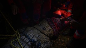 FOTO: Buaya Berkalung Ban di Palu Berhasil Dibebaskan
