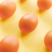 9 Jenis Telur Kesukaan Juga Bisa Menentukan Kepribadian Lho! Penyuka Omelete Keibuan!