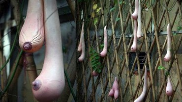 3 Tanaman dengan Bentuk Unik Mirip Alat Vital Manusia