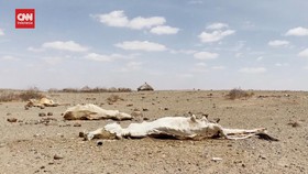 VIDEO: 13 Juta Warga Etiopia, Kenya, dan Somalia Kelaparan