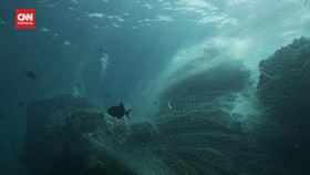 VIDEO: Samsung Manfaatkan Limbah Jaring Ikan untuk Pembuatan Boks