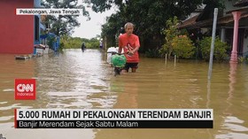 VIDEO: 5.000 Rumah di Pekalongan Terendam Banjir