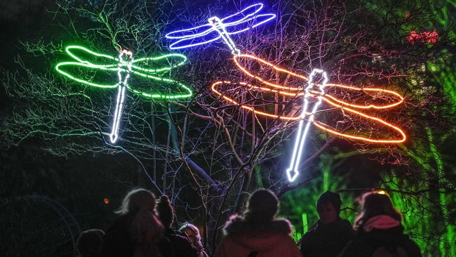 FOTO: Festival Cahaya di Taman Gruga Jerman Kembali Menyala